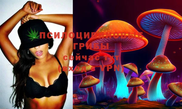 амф Елизово