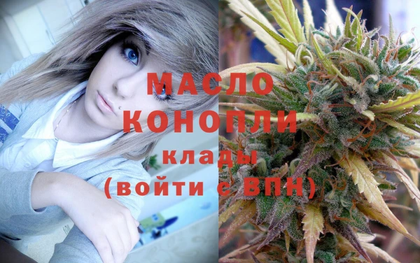 дмт Елабуга