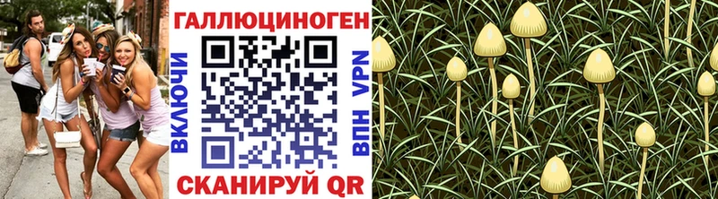 Купить  Микунь  Галлюциногенные грибы GOLDEN TEACHER 